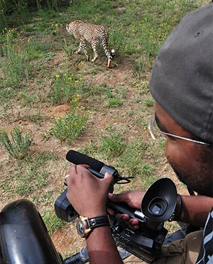 Wildlife Safari