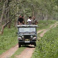 Bandipur Safari Lodge